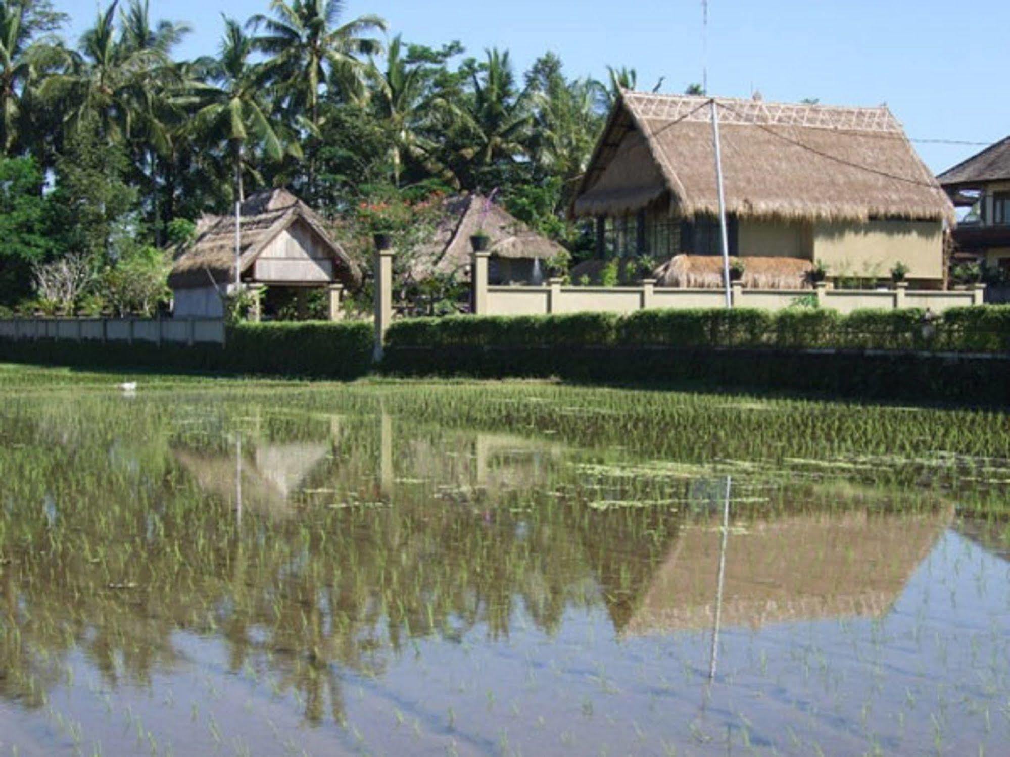Puri Lotus Hotel Ubud Buitenkant foto