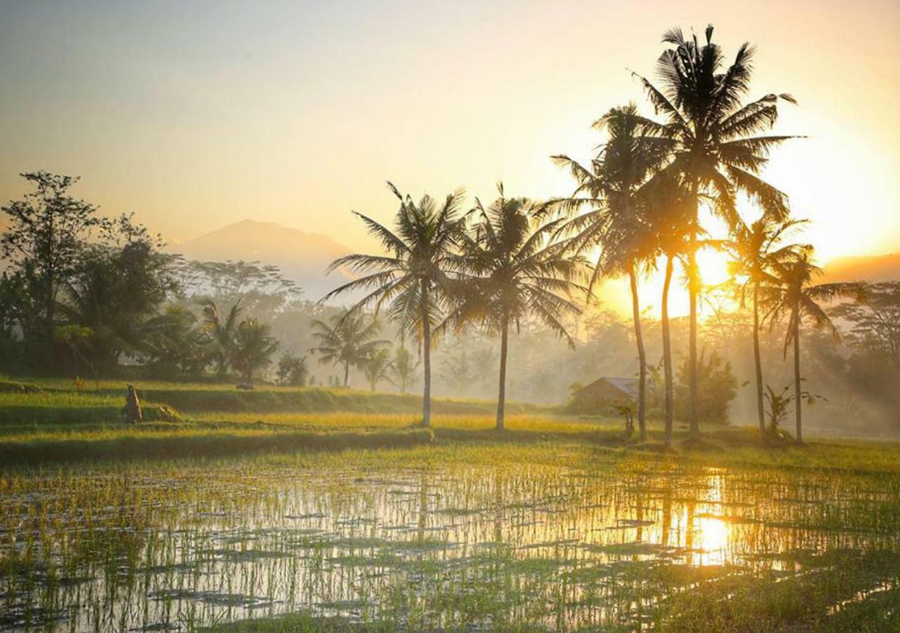 Puri Lotus Hotel Ubud Buitenkant foto